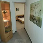 公寓 Halle, -preise, Grosse 79 Qm Sd Fewo, Eg, Wahlweise Mit 1- 3 Dz, Inklusiv Tv Lounge, Kueche, Bad Wc Einfach Und Gut, Langzeitmieter Vb Preise Halle (Saale)