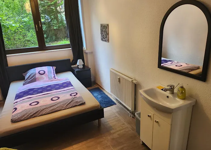 Halle, -preise, Grosse 79 Qm Sd Fewo, Eg, Wahlweise Mit 1- 3 Dz, Inklusiv Tv Lounge, Kueche, Bad Wc Einfach Und Gut, Langzeitmieter Vb Preise *