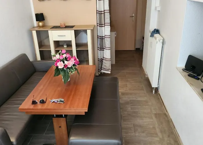 Halle, -preise, Grosse 79 Qm Sd Fewo, Eg, Wahlweise Mit 1- 3 Dz, Inklusiv Tv Lounge, Kueche, Bad Wc Einfach Und Gut, Langzeitmieter Vb Preise Halle (Saale)